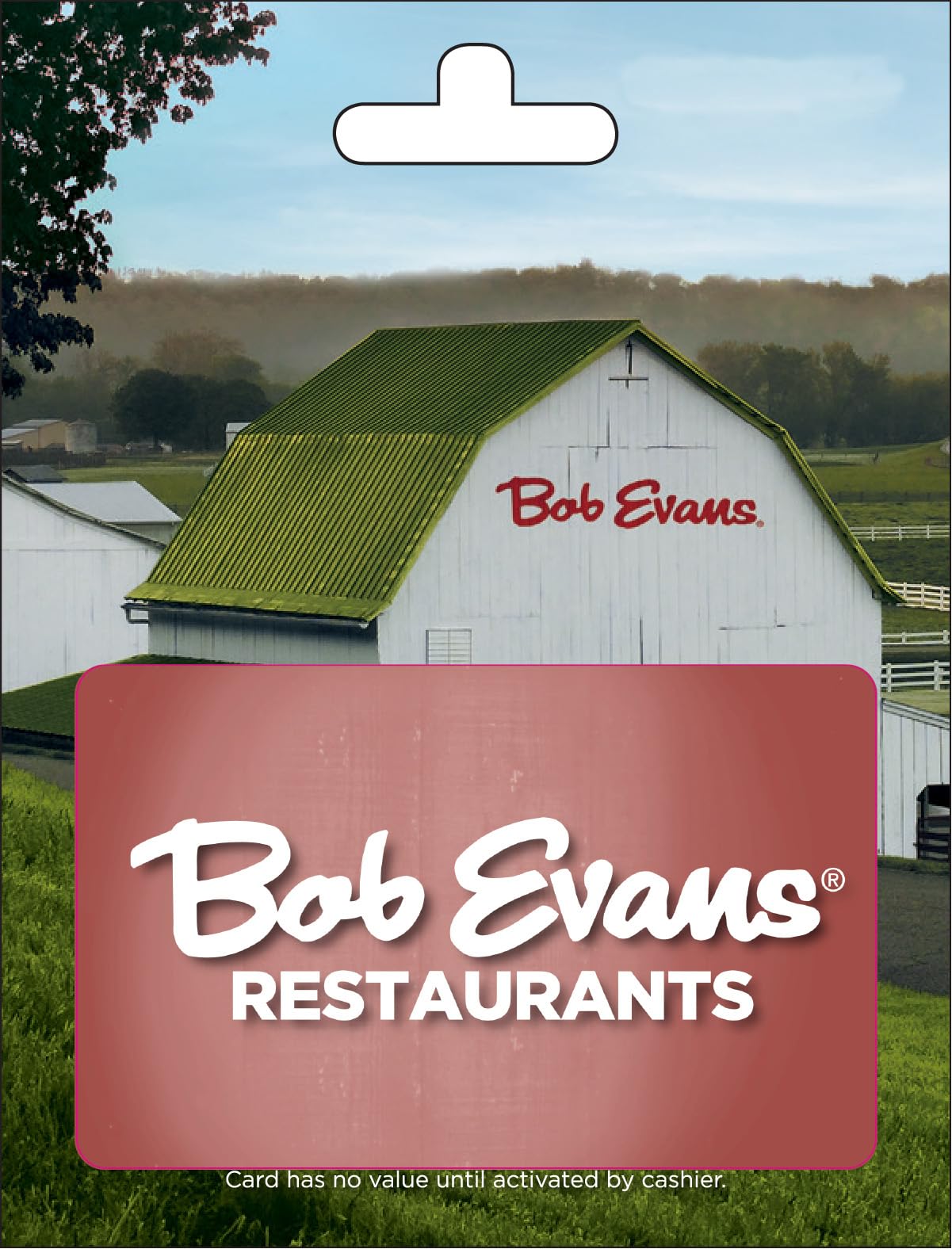 Bob Evans Natural All-Natural Free Range Chicken Breast for Healthy Cooking and Delicious Meals
| Bob Evans Organic 100